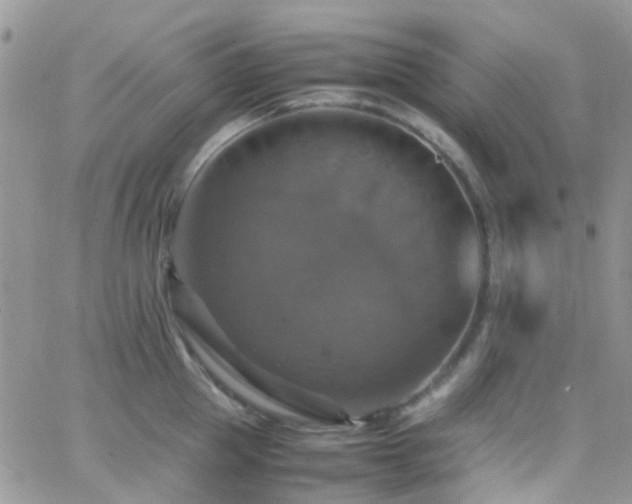 X0000066540953200603171237