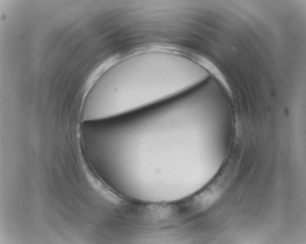 X0000066540954200603171237