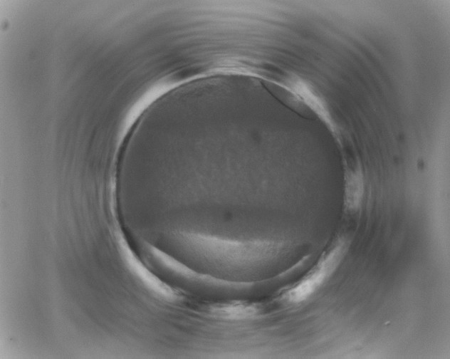 X0000066540955200603171237