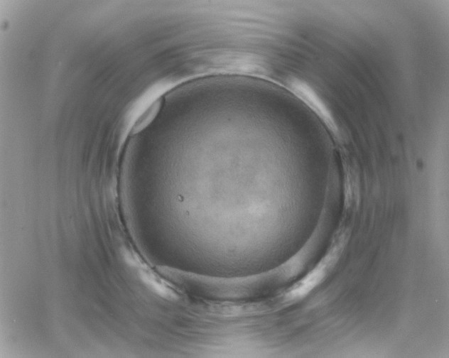 X0000066540956200603171237