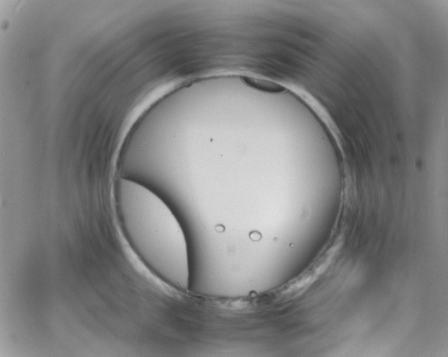 X0000066540957200603171237