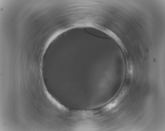 X0000066540958200603171237