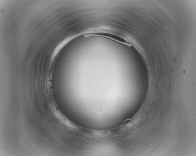 X0000066540960200603171237