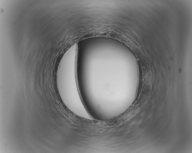 X0000066540961200603171237