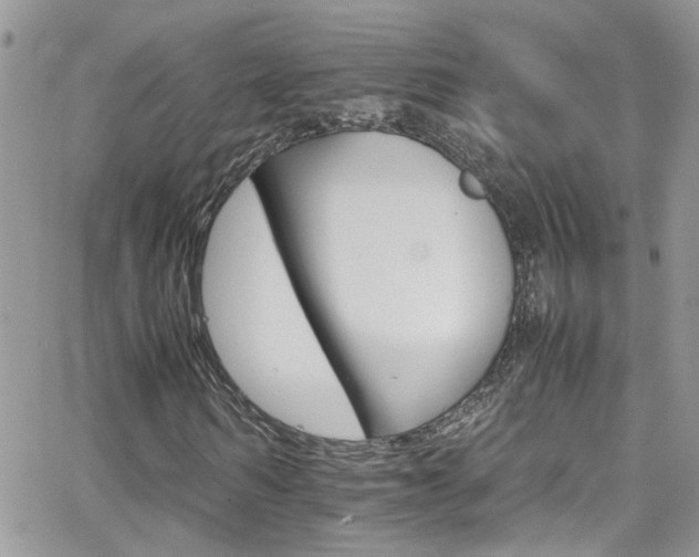 X0000066540962200603171237