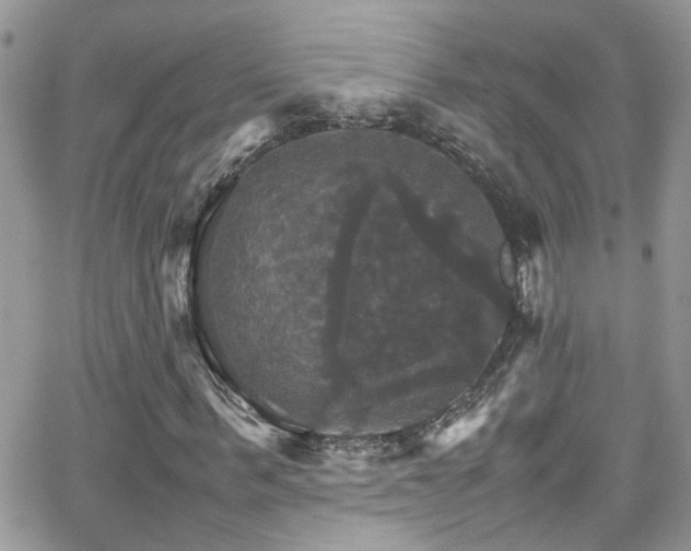 X0000066540963200603171237