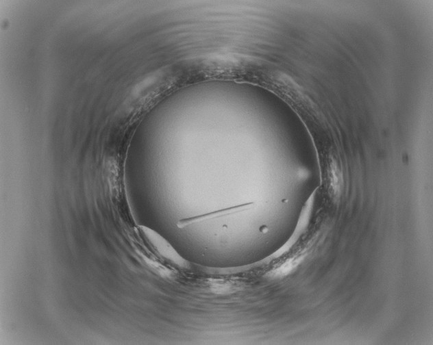 X0000066540964200603171237