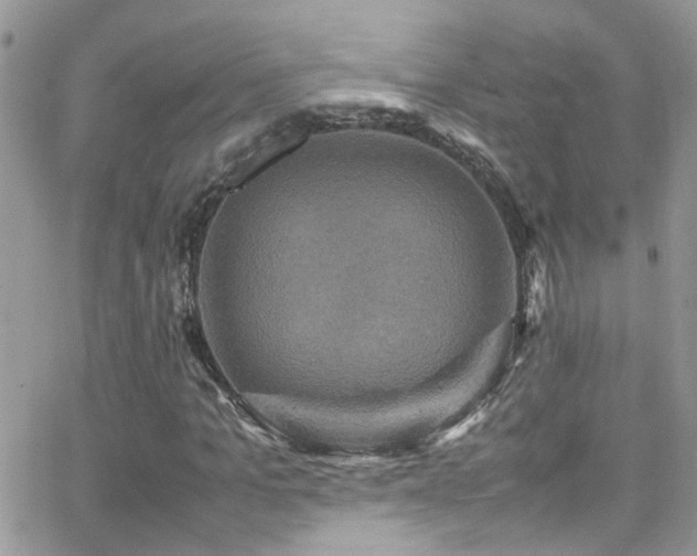 X0000066540965200603171236