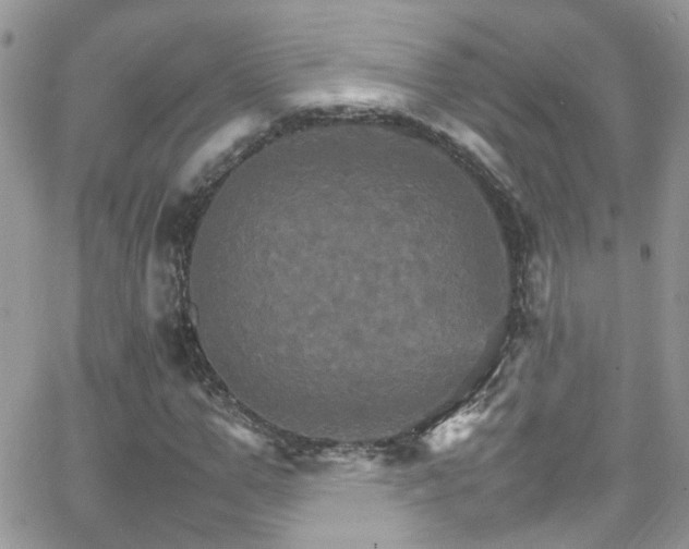 X0000066540967200603171236