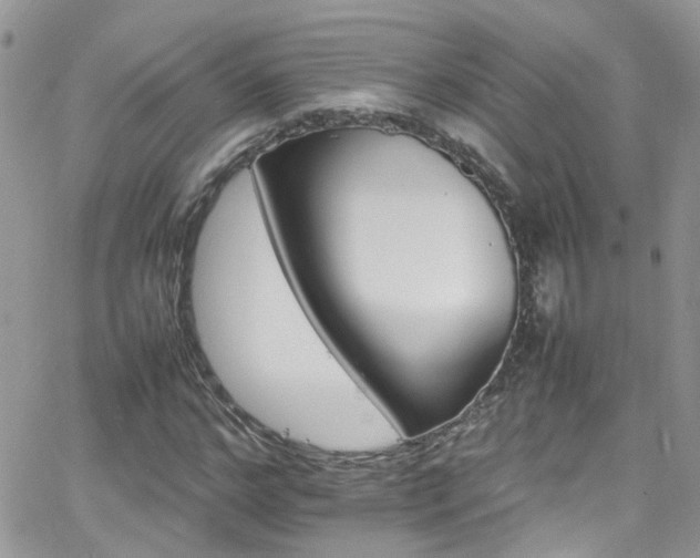 X0000066540968200603171236