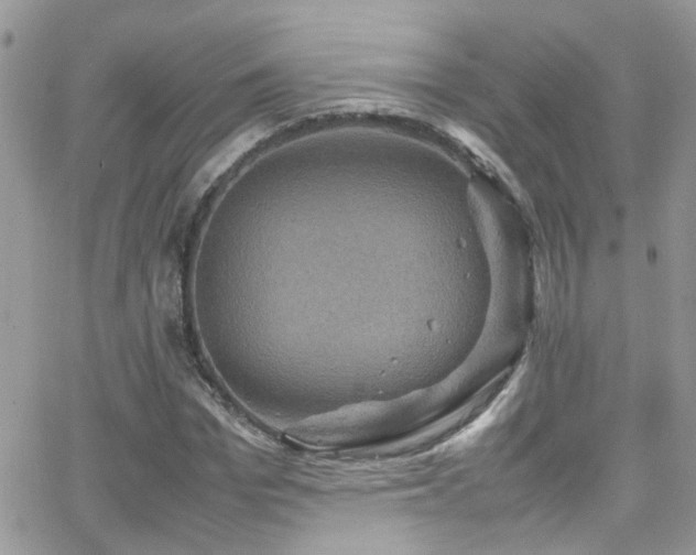 X0000066540969200603171236