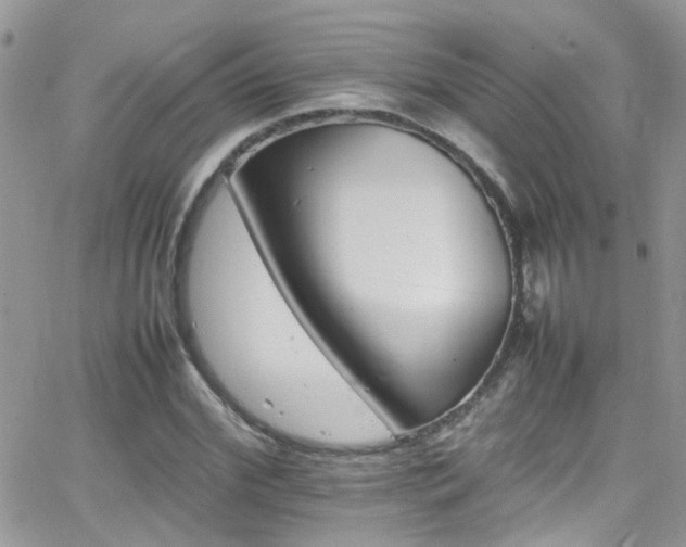 X0000066540972200603171236