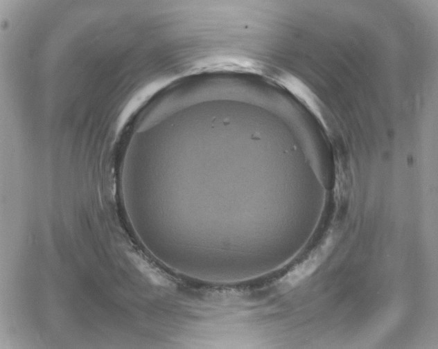 X0000066540973200603171236