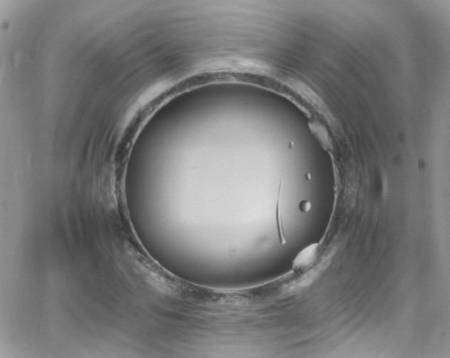 X0000066540974200603171236