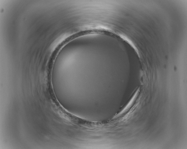 X0000066540975200603171236