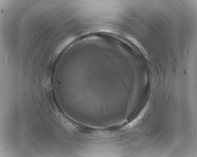 X0000066540977200603171236