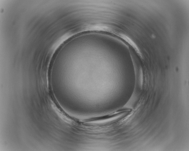 X0000066540980200603171236