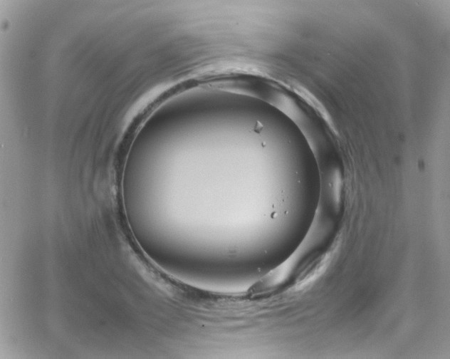 X0000066540981200603171236