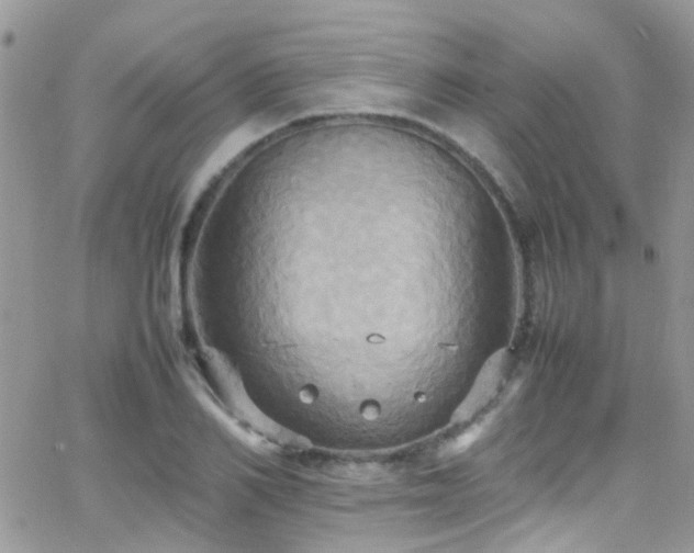 X0000066540982200603171236