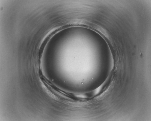 X0000066540984200603171236