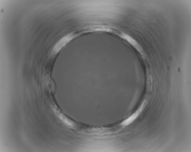 X0000066540985200603171236