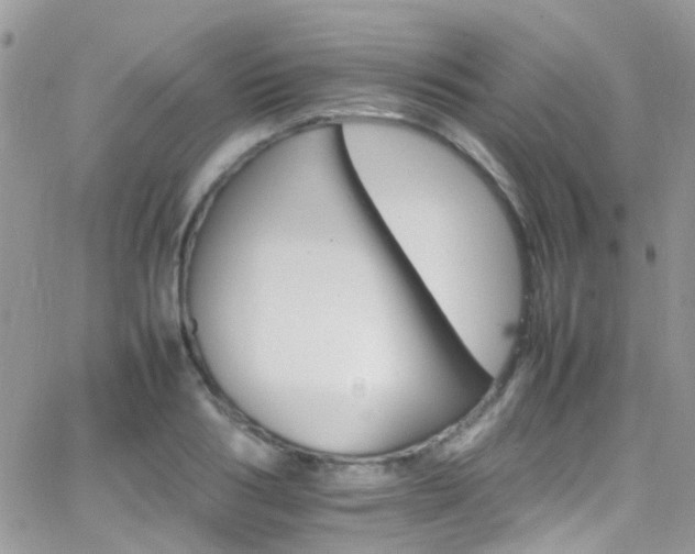 X0000066540986200603171236