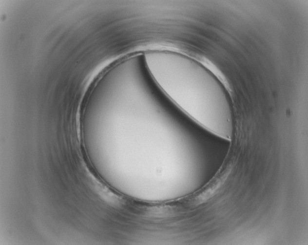 X0000066540988200603171236