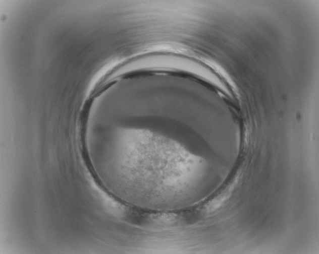 X0000066540991200603171236