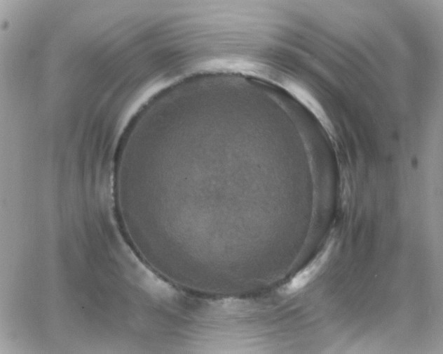 X0000066540992200603171236