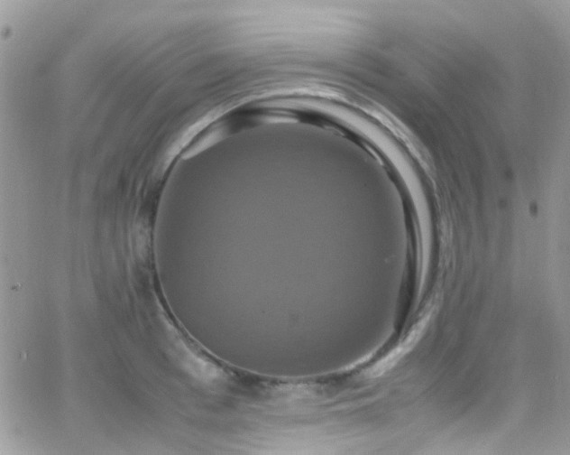 X0000066540993200603171236