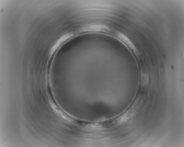 X0000066540994200603171236