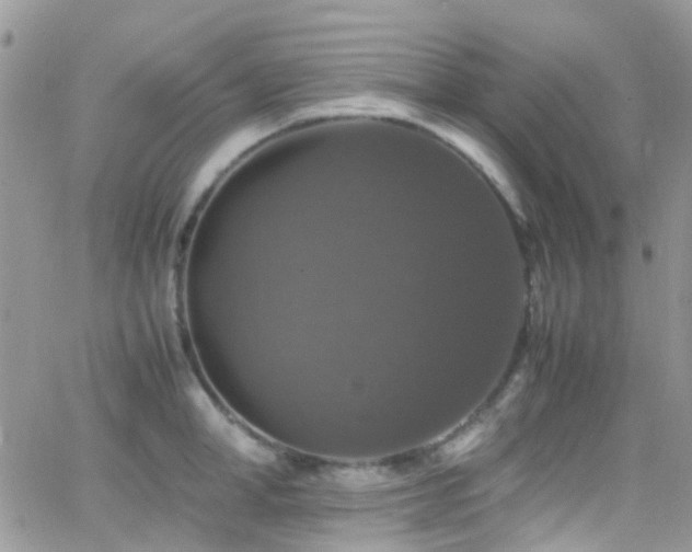 X0000066540998200603171236