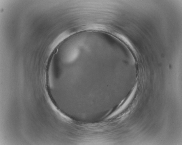 X0000066540999200603171236