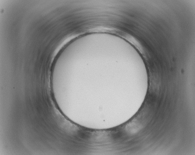 X0000066541000200603171236