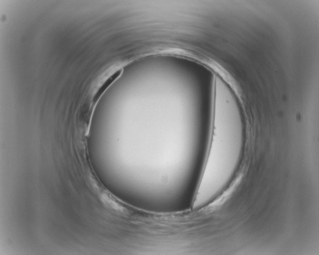 X0000066541001200603171236