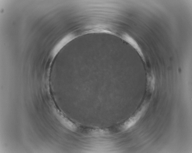 X0000066541002200603171236