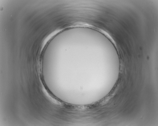 X0000066541003200603171236