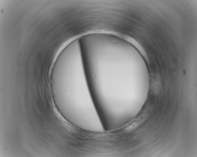 X0000066541004200603171236