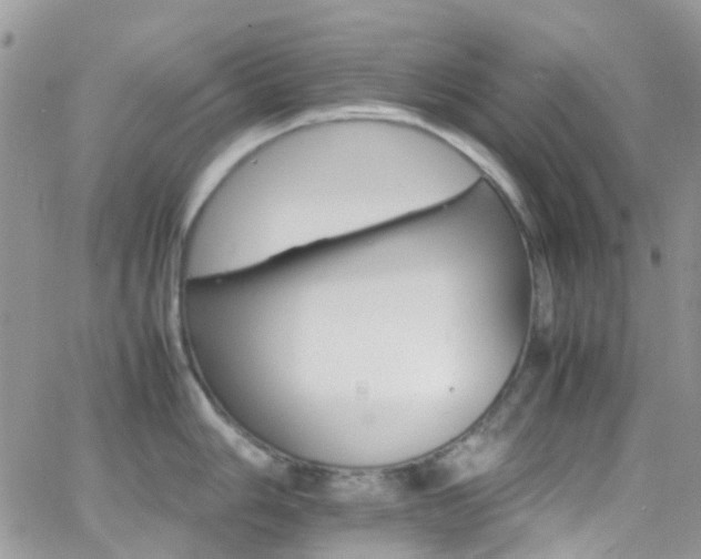 X0000066541006200603171236