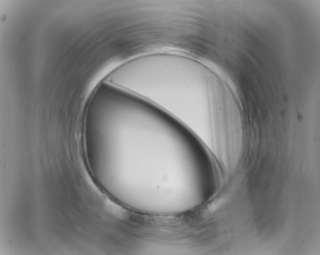 X0000066541007200603171236