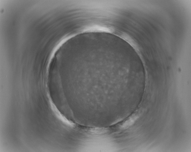 X0000066541008200603171236