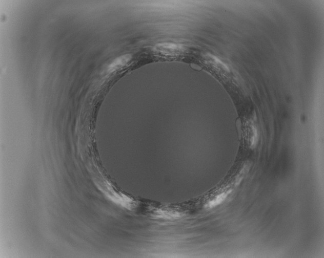 X0000066541009200603171235