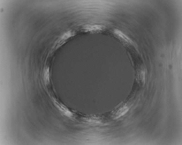 X0000066541010200603171235