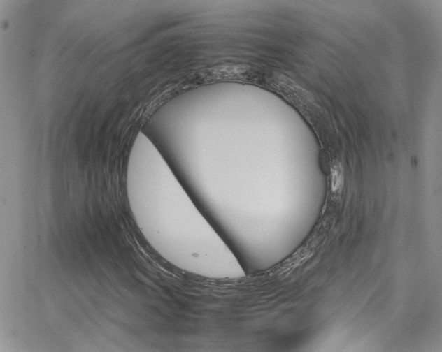 X0000066541011200603171235