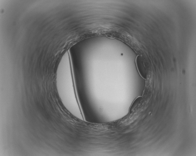 X0000066541012200603171235