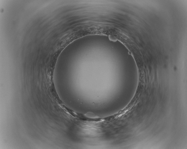 X0000066541013200603171235