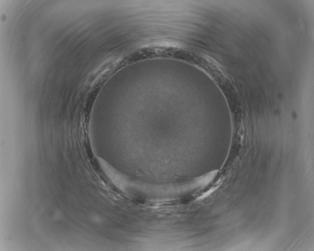 X0000066541014200603171235