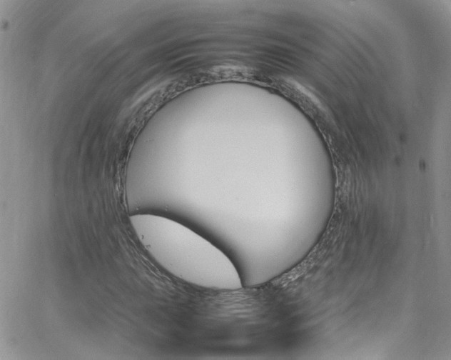 X0000066541015200603171235