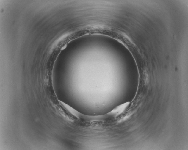 X0000066541016200603171235