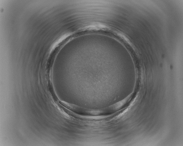 X0000066541018200603171235